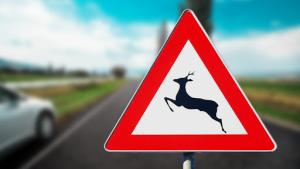 titulná fotka k oznamu