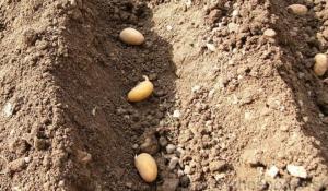 titulná fotka k oznamu